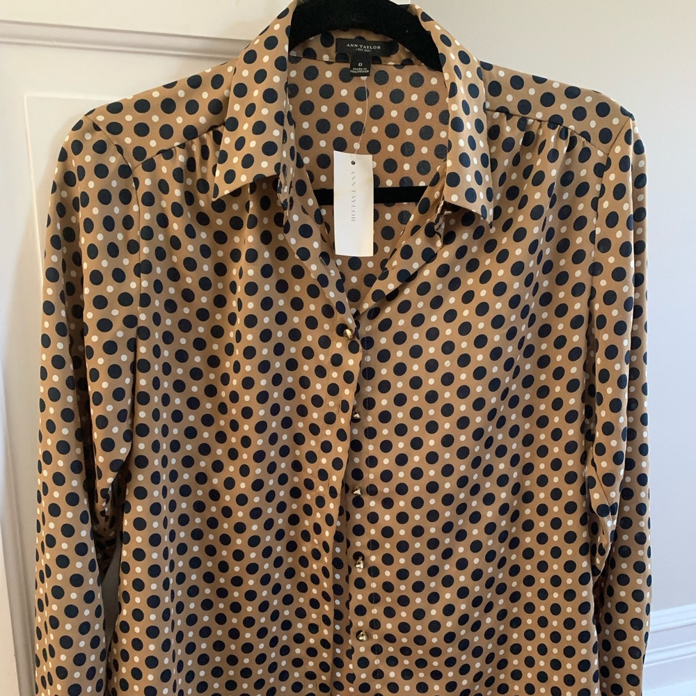 Ann Taylor Blouse Button Down.
